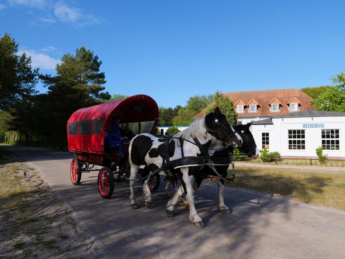 Hotel Heiderose Hiddensee Neuendorf  Экстерьер фото